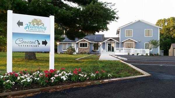 Coastal Veterinary, LLC gallery photo