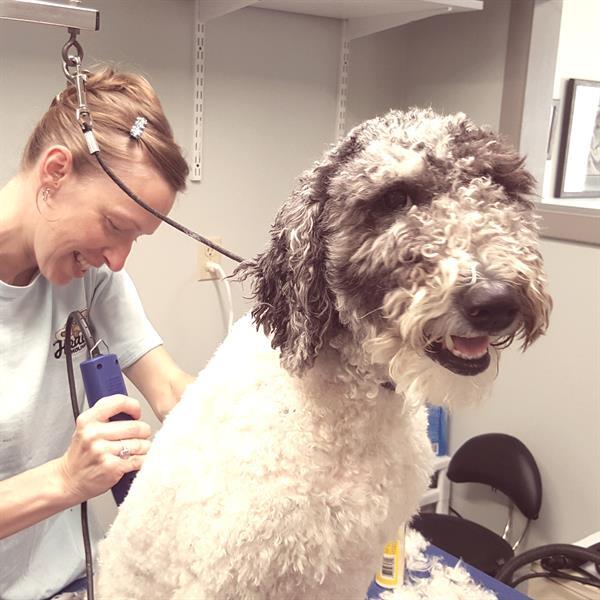 Coastal Veterinary, LLC gallery photo