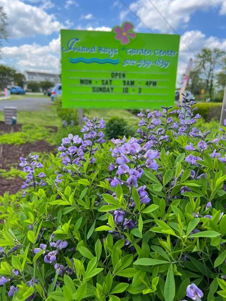 Inland Bays Garden Center gallery photo