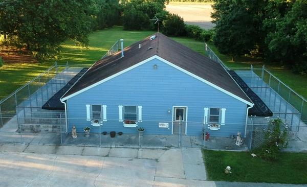 Coastal Veterinary, LLC gallery photo