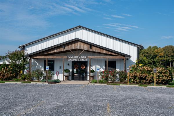 Salted Vines Vineyard & Winery gallery photo