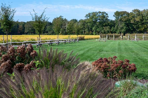 Salted Vines Vineyard & Winery gallery photo