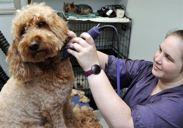 Coastal Veterinary, LLC gallery photo