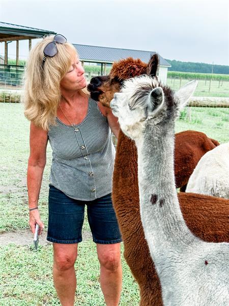 Four Acres Living Alpaca Farm gallery photo