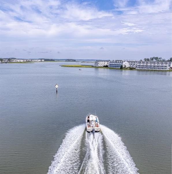Back Bay Tours gallery photo