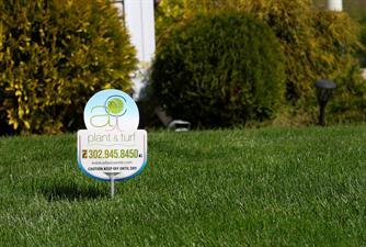 AC Plant and Turf