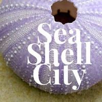 Sea Shell City, Inc. logo